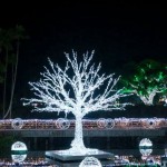 3D Christmas Tree Manufacturer - LED Motif Light Outdoor Waterproof