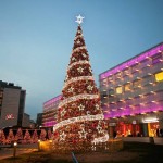 Christmas Tree Light Factory - 3D Frame Outdoor LED Holiday