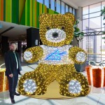 Bear Motif Light Manufacturer - Shopping Mall 3D Metal Led Animal