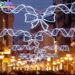 Christmas Street Light Factory - Outdoor Decorated Navidad Light