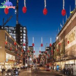 Christmas Street Light Factory - Outdoor Decorated Navidad Light