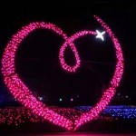 Sculpture Light Factory - Holiday Decoration 3D Giant IP65 Outdoor