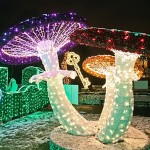 Mushroom Light Factory - Wholesale Best Price IP65 Waterproof