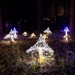 LED Mushroom Light Manufacturer - Outdoor Shopping Multicolor Decoration