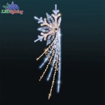 LED Pole Light Factory - Innovative Customizable 2D Commercial