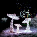 Mushroom Lighting Factory - IP65 Waterproof Large 3D Wedding