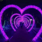 LED Arch Light Manufacturer - Outdoor Waterproof 3d Heart Shaped