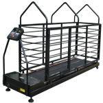 Dog Treadmill Manufacturer - Home Use Folded Metal Steel