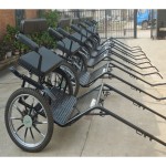 Horse Carriage Manufacturer - Sulky Cart Horse Activities