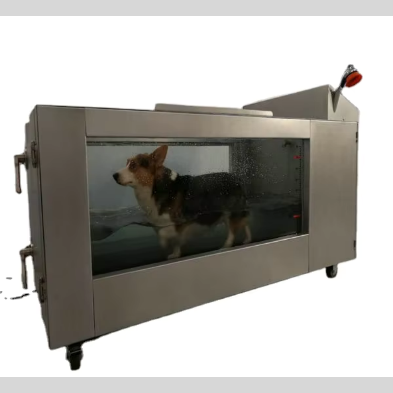 Dog Treadmill Factory - Electric Underwater Fitness
