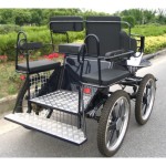 Horse Carriage Manufacturer - Marathon English Type