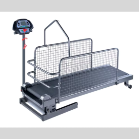 Dog Treadmill Manufacturer - Home Use Folded Metal Steel