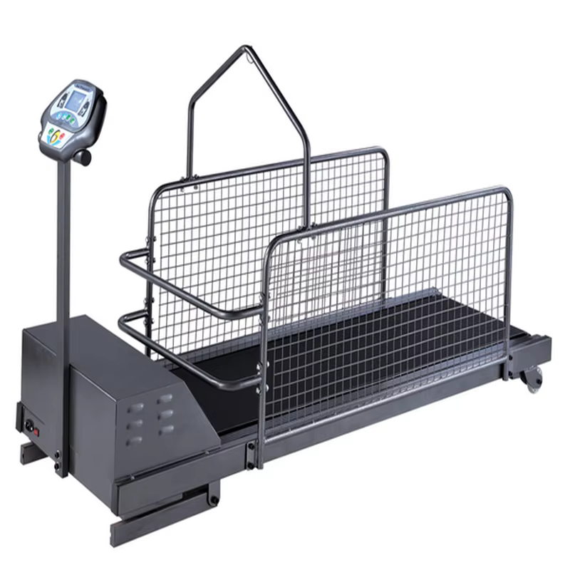 Dog Treadmill Factory - Adjustable Steel Waterproof