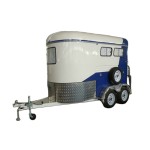 Horse Carriage Manufacturer - Deluxe 2 Horse Cart