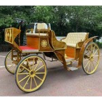 Horse Carriage Manufacturer - Cinderella Royal Harness