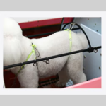 Pet Hair Dryer Manufacturer - Full Automatic Stainless Steel