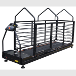 Dog Treadmill Manufacturer - Hydrotherapy Underwater Training