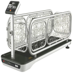 Dog Treadmill Factory - Electric Steel Walking Machine