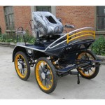 Horse Carriage Manufacturer - Marathon English Type