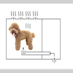 Pet Hair Dryer Manufacturer - Full Automatic Stainless Steel