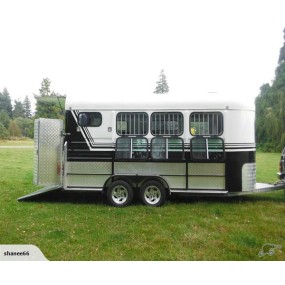 Horse Carriage Manufacturer - Camping Horse Float Outdoor
