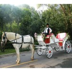 Horse Carriage Manufacturer - Royal Tourism Pony Carriage