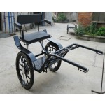 Horse Carriage Manufacturer - Sulky Cart Horse Activities