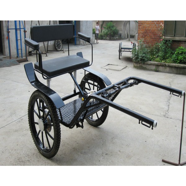 Horse Carriage Manufacturer - Sulky Cart Horse Activities