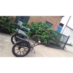 Horse Carriage Manufacturer - Sulky Cart Horse Activities