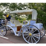 Horse Carriage Manufacturer - Deluxe Victorian Wedding