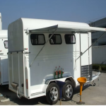 Horse Carriage Manufacturer - Deluxe 2 Horse Carriage