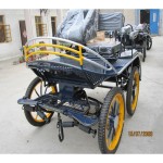 Horse Carriage Manufacturer - Marathon English Type