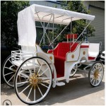 Horse Carriage Factory - Tourism Horse Drawn Set