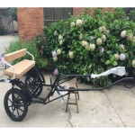 Horse Carriage Factory - Sulky Carriage Premium