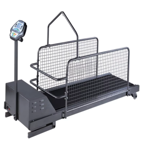 Dog Treadmill Manufacturer - 5HP Electric Two Way Waterproof