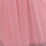 Princess Dress Manufacturer - Long Dress Embroidery Lace