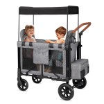 Kids Stroller Manufacturer - 2 Seater Folding Travel Canopy