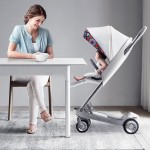 Stroller Factory - High-view Sit Lie Fold Two Directions
