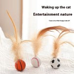 Pet Collar Manufacturer - Eco Friendly Western Style