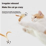 Pet Toy Manufacturer - Eco Friendly Chicken Feather Balls