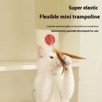 Pet Toy Manufacturer - Eco Friendly Chicken Feather Balls