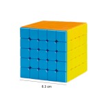 Speed Cube Manufacturer - 5x5x5 Educational Magnetic