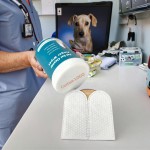 Pet Wipes Factory - Disposable Non Woven Dental Care