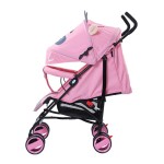 Voiture Stroller Manufacturer - New Product Ideas Two Baby Pram