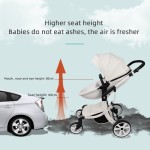 Alloy Stroller Manufacturer - High Quality Multi-Function Big Wheels