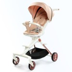 New Star Stroller Factory - Foldable Travel Luxury EN 1888-2