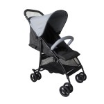 Push Chair Manufacturer - Hope Factory Hot Selling 2 in 1