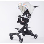 Collapsable Stroller Manufacturer - Lightweight Removable Carriage