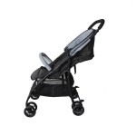 Push Chair Manufacturer - Hope Factory Hot Selling 2 in 1