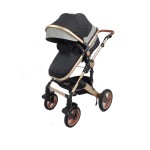EN1888 Stroller Manufacturer - Wholesale 2 in 1 Good Quality